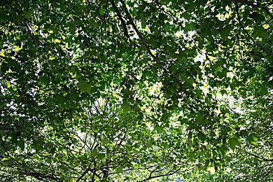 FANTHFUL出品 《艾尔登法环》主题官方正版授权系列周边